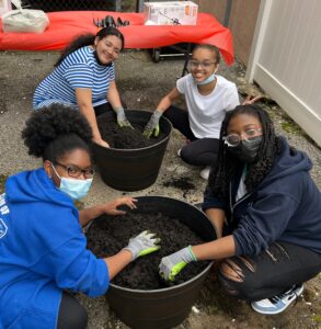 Planting vegetables in the backyard of Our Lady of Trust Catholic Academy