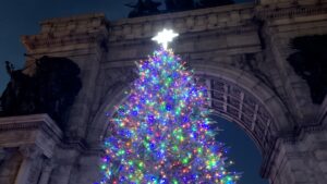 Christmas Tree Arch Evening