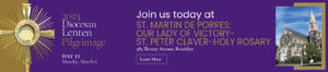 Day 11 St. Martin de Porres Our Lady of Victory St. Peter Claver Holy Rosary