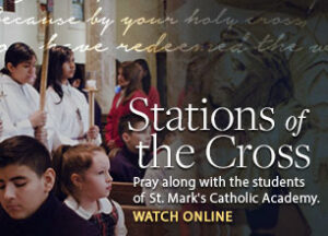 Stations of the Cross 306x220 Module