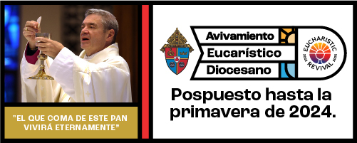 Diocesan Eucharistic Revival SP Postponed Announcement Landing Page Mobile
