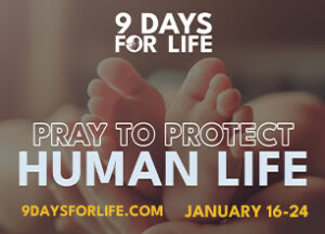 9 days for life DOB module 306 220