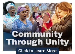 Community Through Unity DOB Module 306x220