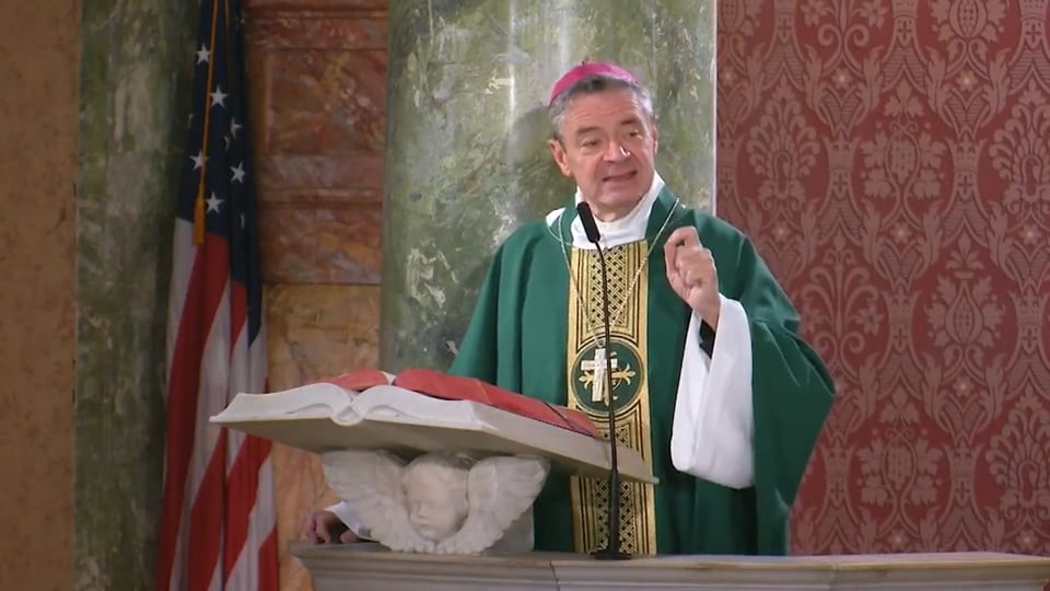 Bishop’s Homily – Oct. 30, 2024