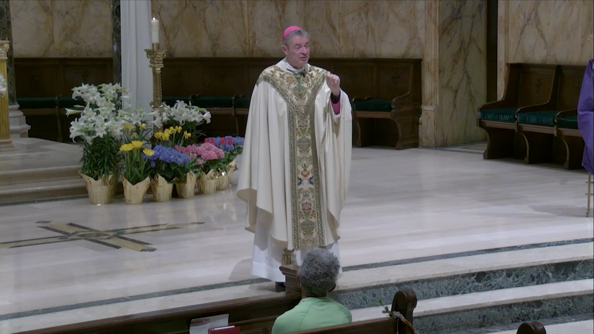 Bishop’s Homily – Mass in Honor of Pope Francis – May 19, 2025
