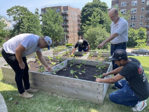 Thomas Berry Place garden 500x375