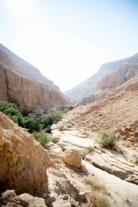 peter pryharski OcZQkbcTxmw unsplash